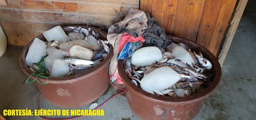 MARISCOS1